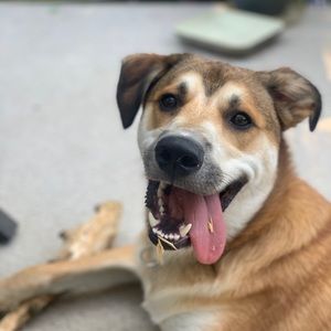 Meet your Posher, Joelle